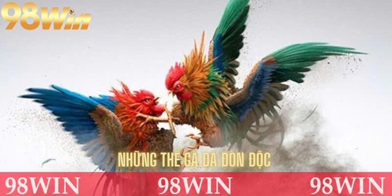 Điểm qua một số thế gà đá